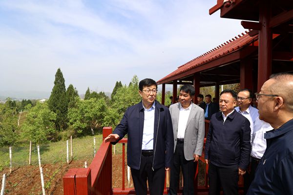1与会代表观摩丹凤县陈家沟丹治一期项目葡萄产业园_副本.jpg